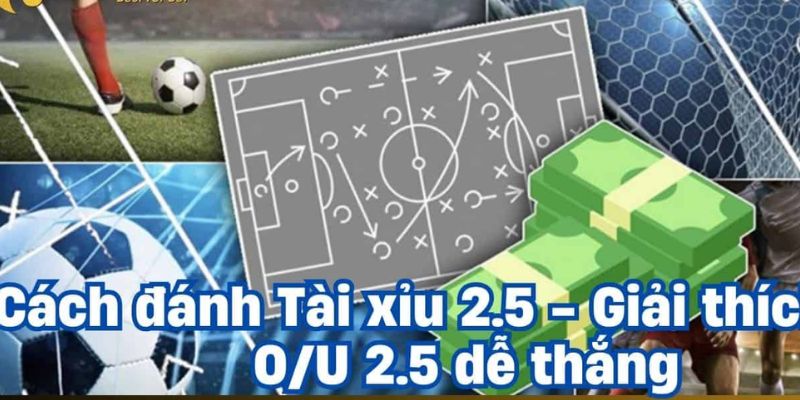 kèo tài xỉu 2.5 Thống kê và phân tích dữ liệu: Bí quyết thắng kèo tài xỉu 2.5