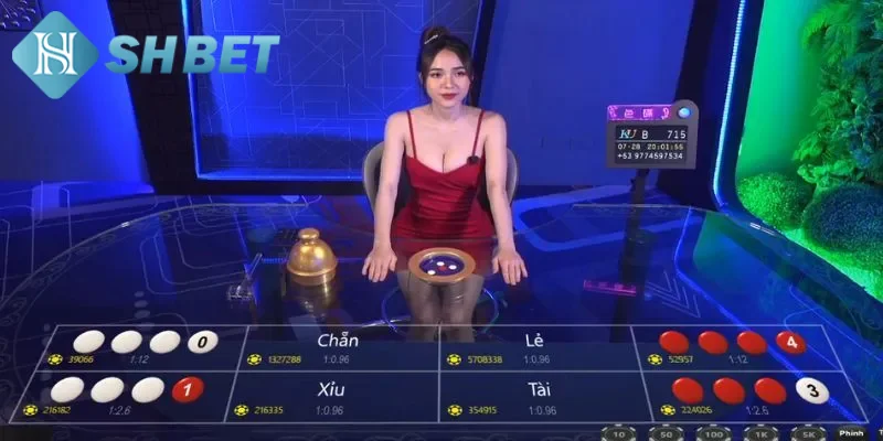 Giới thiệu khái quát về định nghĩa của trò chơi xóc đĩa