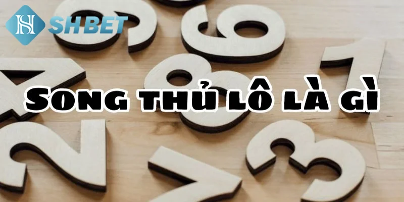 Tìm hiểu vài nét khái quát về phương pháp song thủ lô